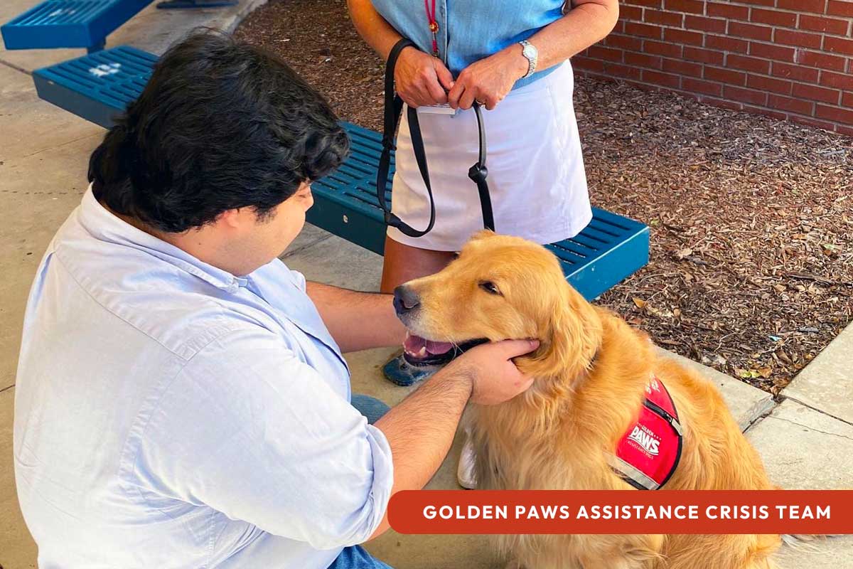 Golden PAWS Assistance Dog, Jay with GPACT