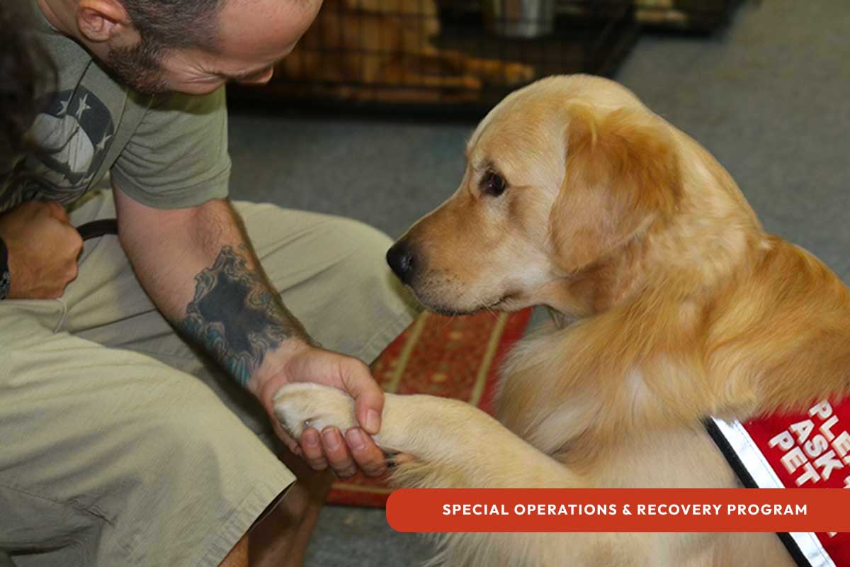Veteran shaking "paws" with a Golden PAWS Service Dog as part of the Special Operations and Recovery Program